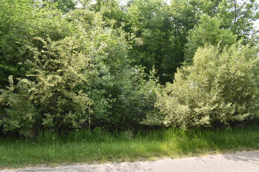 Lot 271 Islanders, Gladwin, MI 48624 - #3