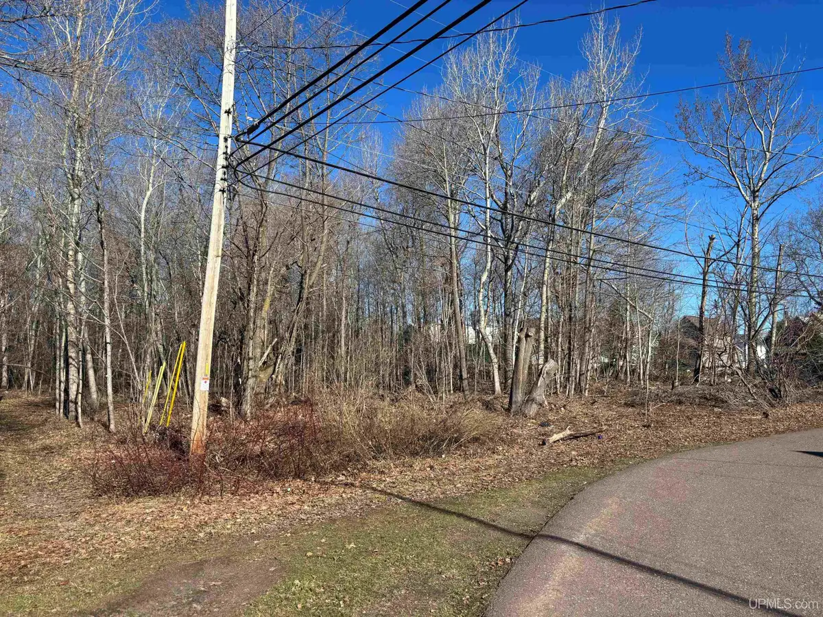 TBD 135 Eleventh, Calumet, MI 49913 - #1