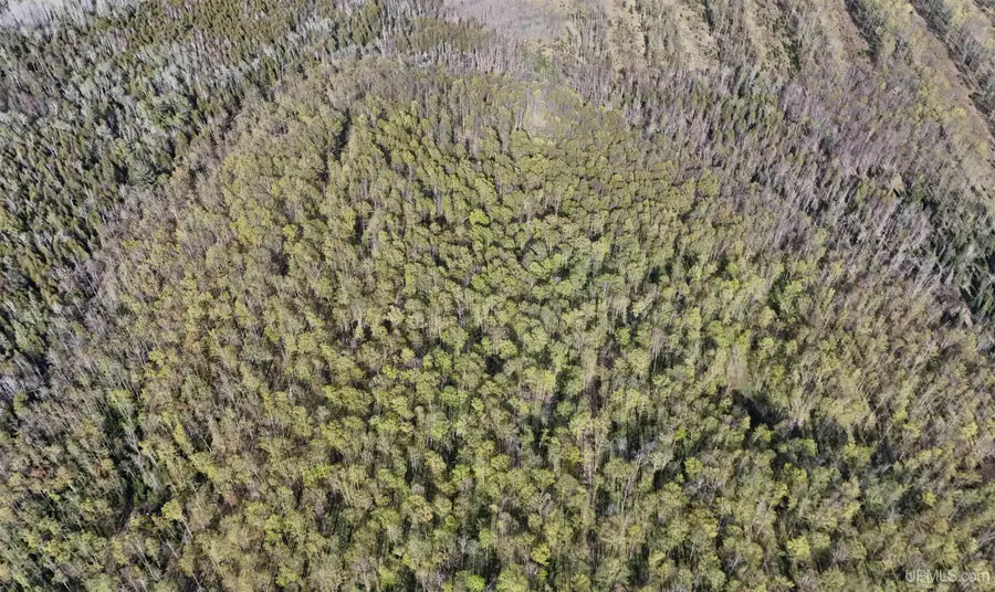 TBD County Line, Hermansville, MI 49847 - #2