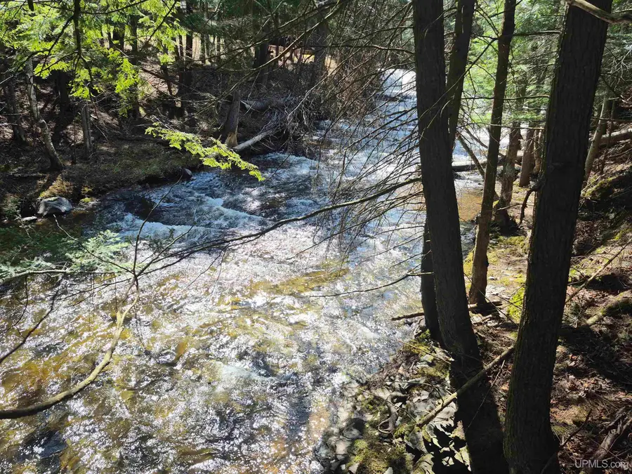 12 Acres Salmon, Lanse, MI 49946 - #2