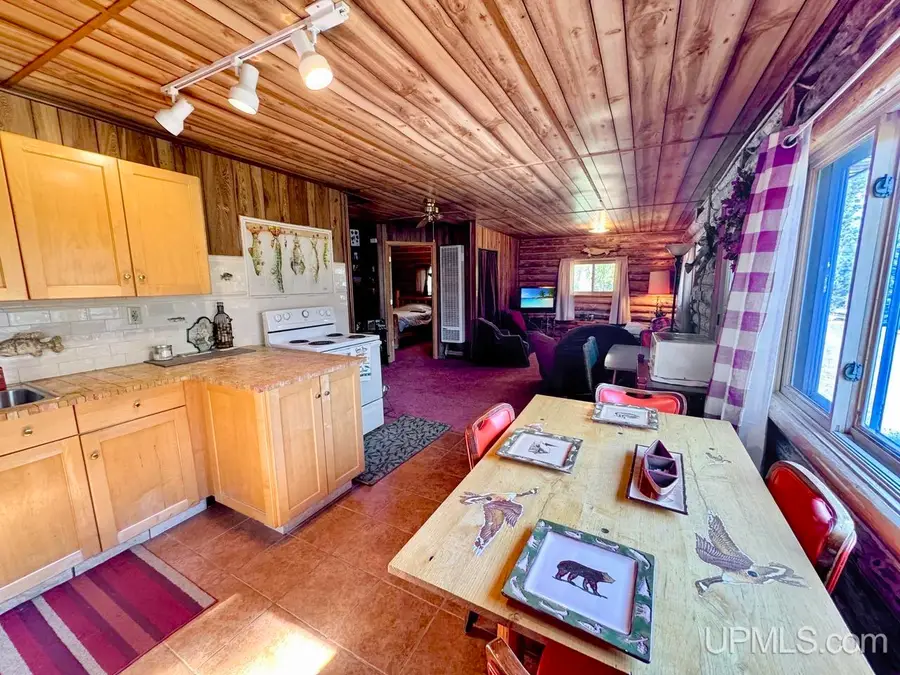 113 & 120 Lohrey, Crystal Falls, MI 49920 - #3