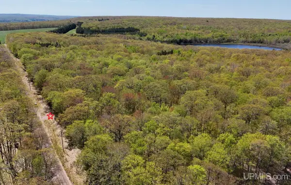 TBDD S Tear Lake, Houghton, MI 49931