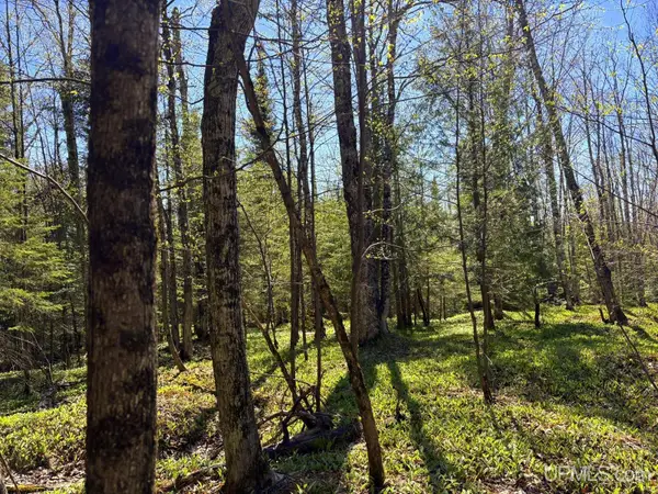 TBD Townline, Skandia, MI 49855
