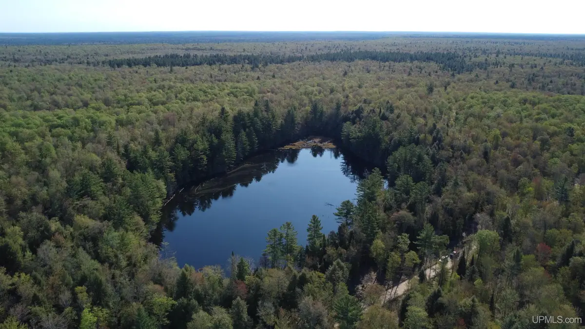 on Wolf Lake, Newberry, MI 49868 - #1
