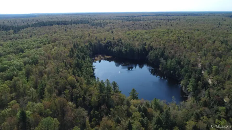 on Wolf Lake, Newberry, MI 49868 - #2
