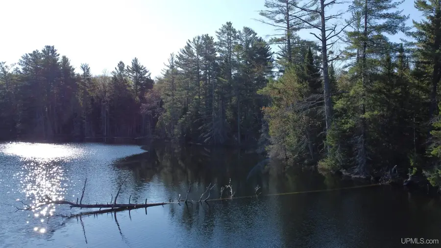 on Wolf Lake, Newberry, MI 49868 - #3