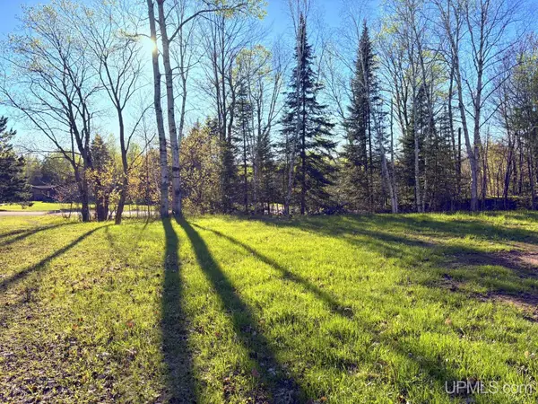 159 Kreiger, Skandia, MI 49885