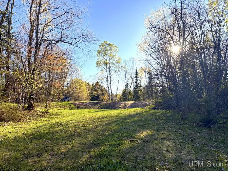159 Kreiger, Skandia, MI 49885 - #2