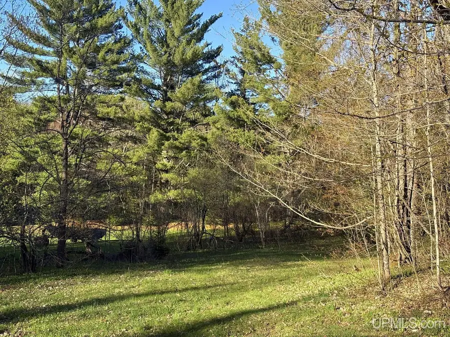 159 Kreiger, Skandia, MI 49885 - #3