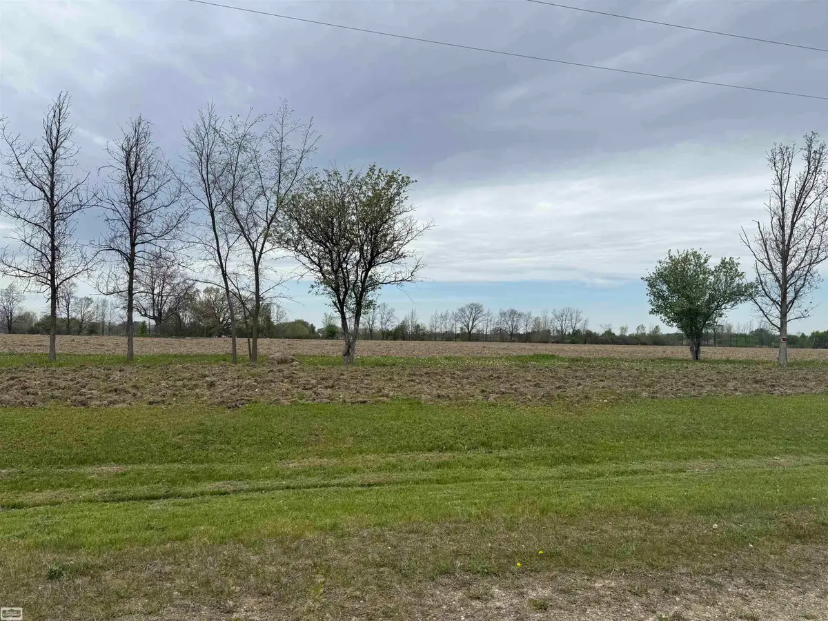 610 Windmill, Imlay City, MI 48444 - #1