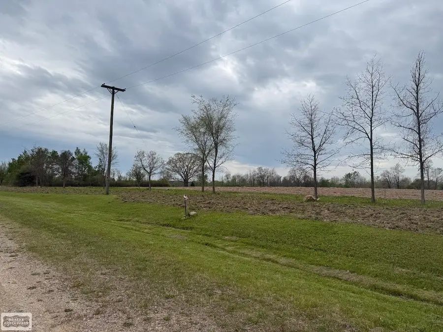 610 Windmill, Imlay City, MI 48444 - #2