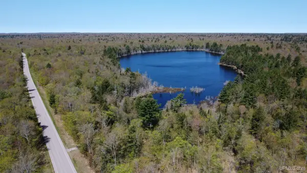 off Adams Trail, Shingleton, MI 49884