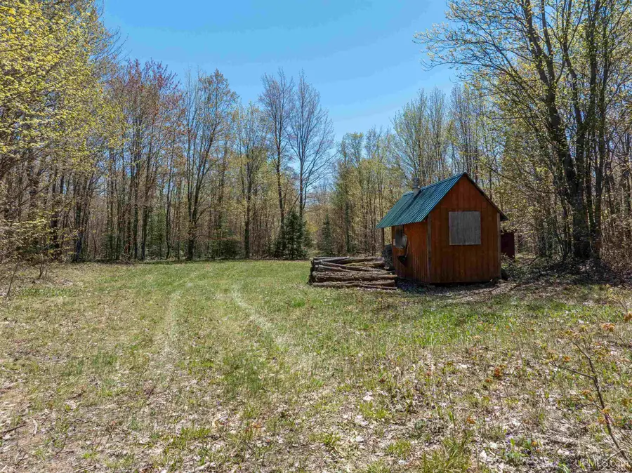 TBD H58 Road, Grand Marais, MI 49839 - #3