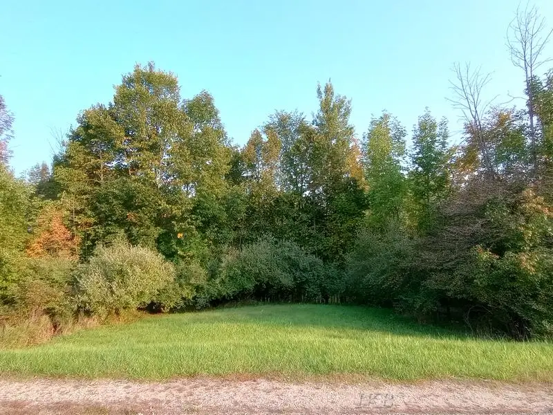 Lots 60-61 Huntington, Gladwin, MI 48624 - #1