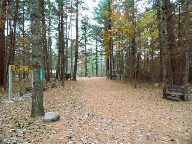 2600 Sugar River, Gladwin, MI 48624 - #3