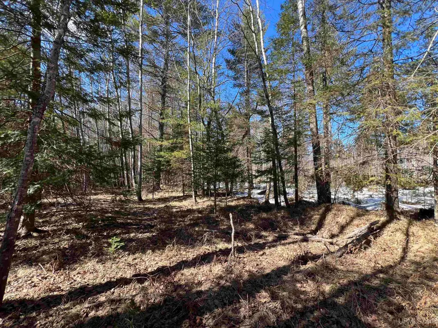 TBD Co 424, Crystal Falls, MI 49920 - #2