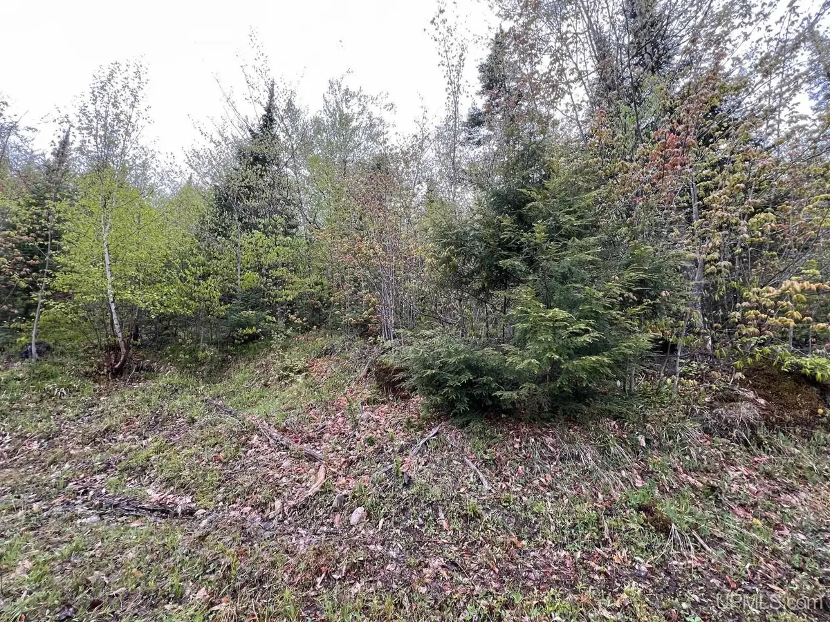 TBD Harborview Unit 11, Munising, MI 49862 - #1
