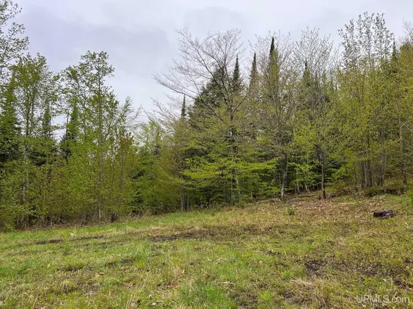 TBD Harborview Lot 12, Munising, MI 49862