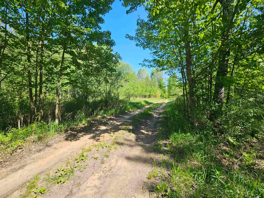 5350 Cranberry Lake, Harrison, MI 48625 - #2