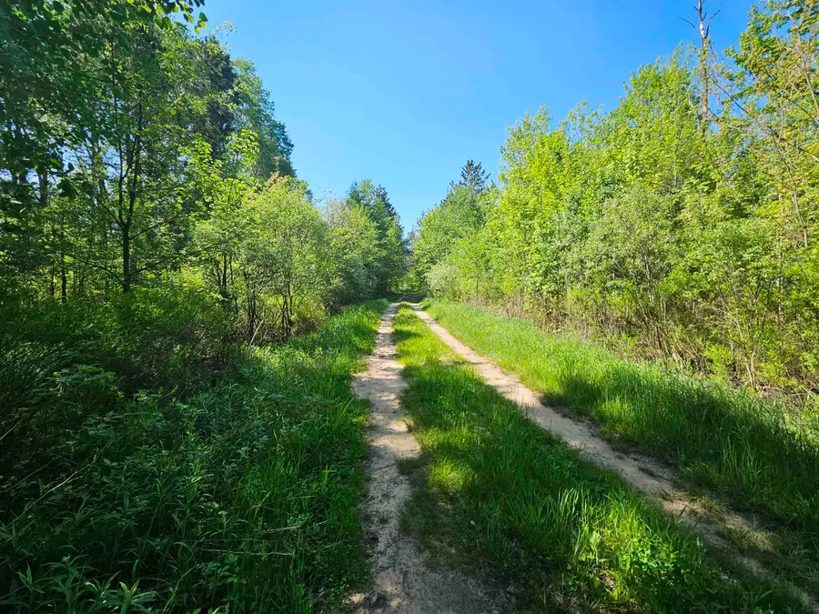 5350 Cranberry Lake, Harrison, MI 48625 - #3