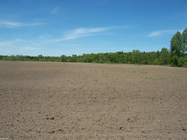 Lot 8 Lapeer Rd, Kimball, MI 48074