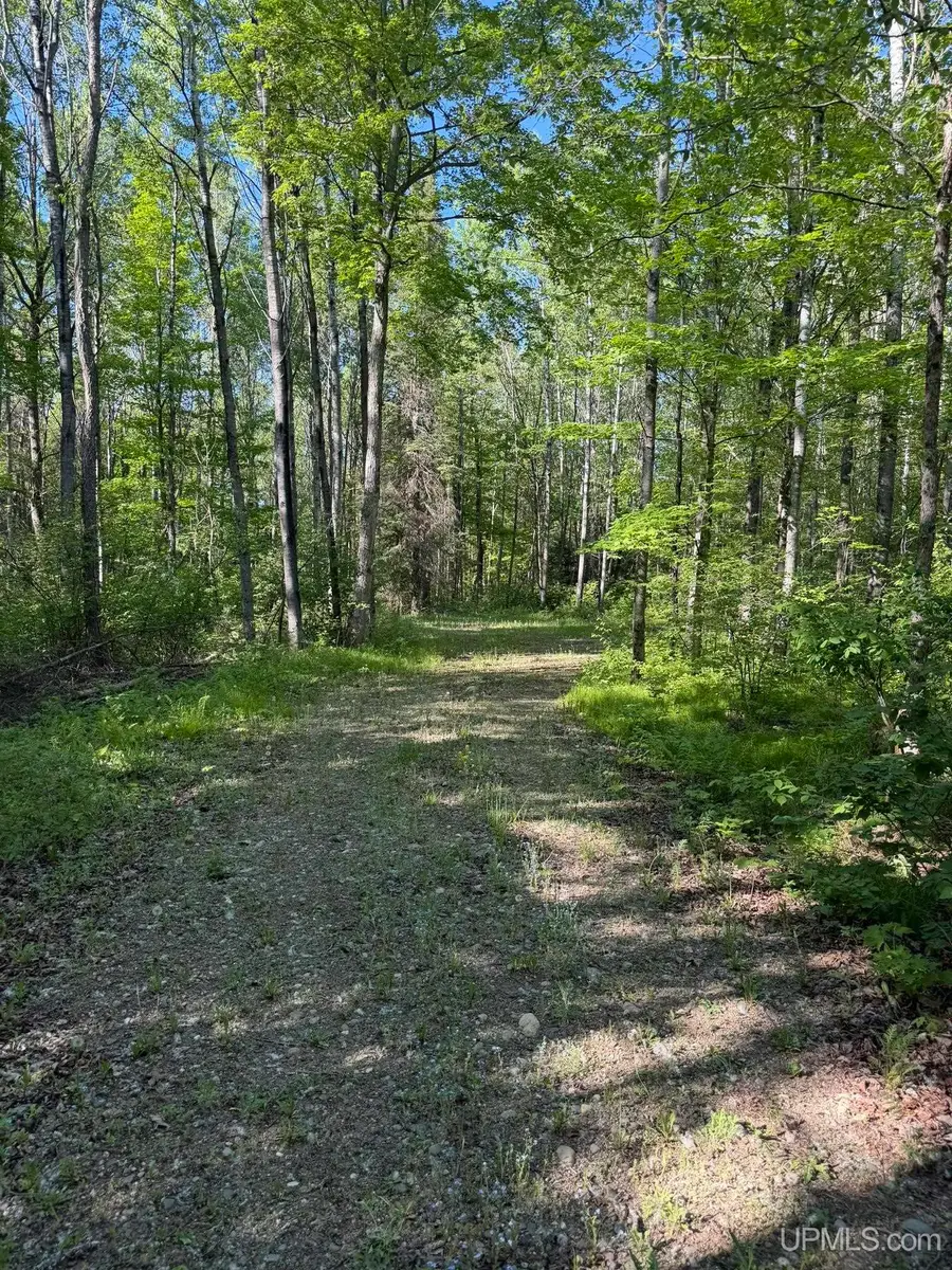 TBD Off Of Dream Lake Rd Lot 2, Tipler, WI 54542 - #3