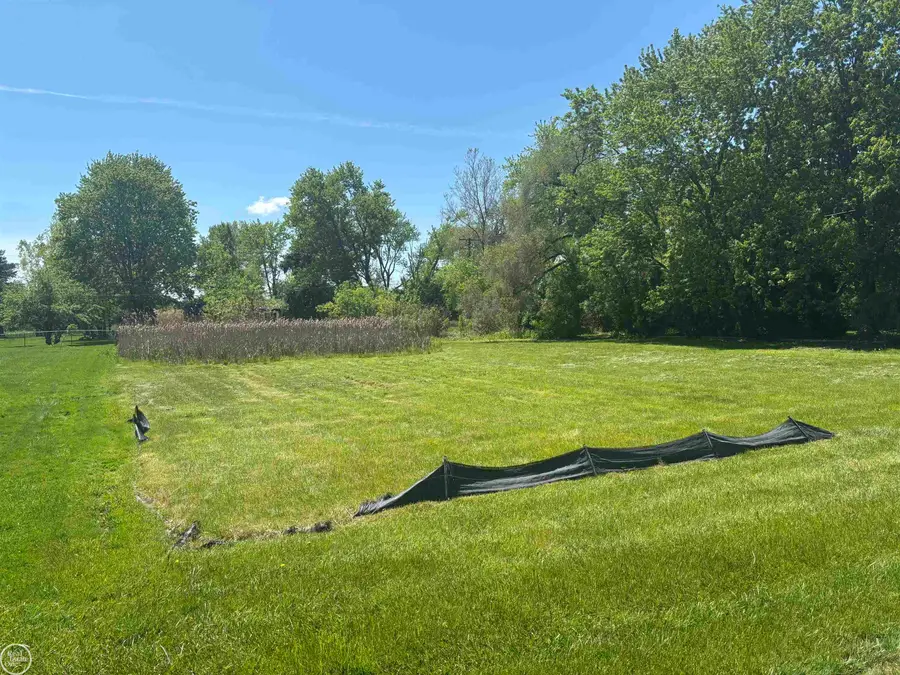 23100 Jamison, Macomb, MI 48042 - #2