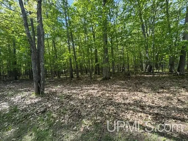 TBD 2nd Ave West, Gladstone, MI 49837 - #3