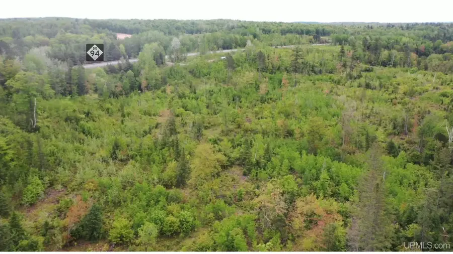 TBD M-94, Skandia, MI 49885 - #3