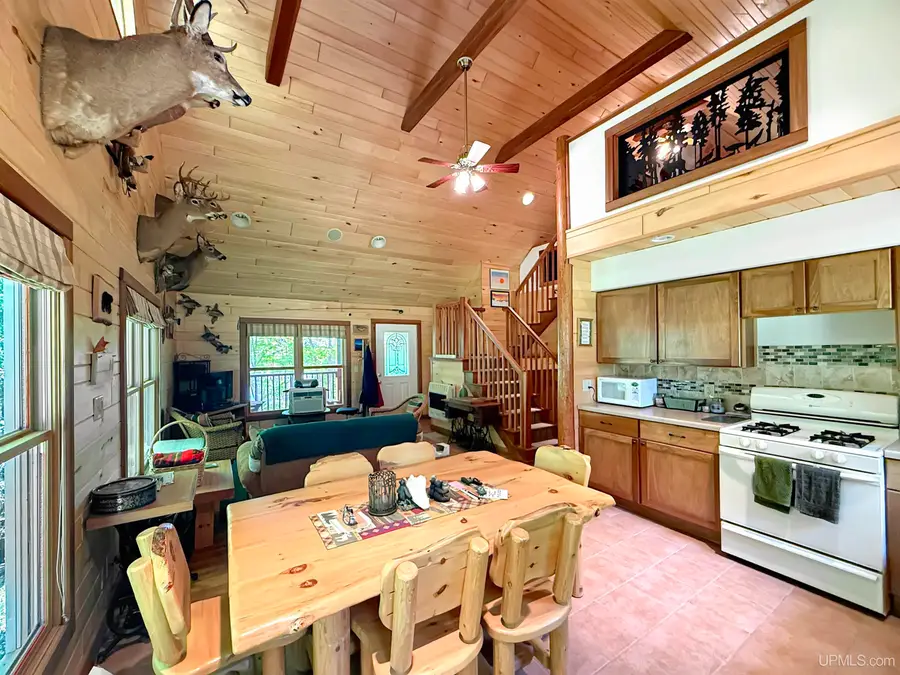 252 Bara, Crystal Falls, MI 49920 - #2