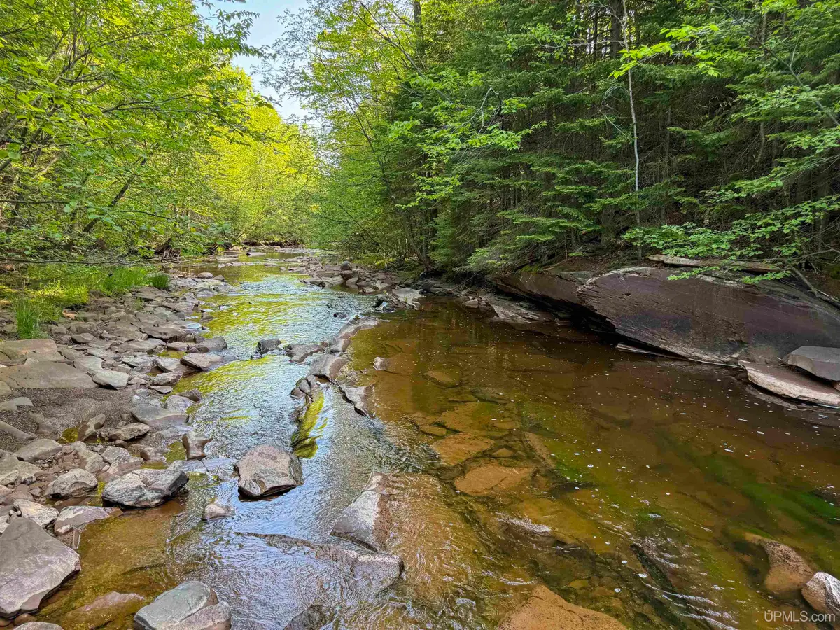 Lot 2 Off Hwy M-64, Ontonagon, MI 49953 - #1