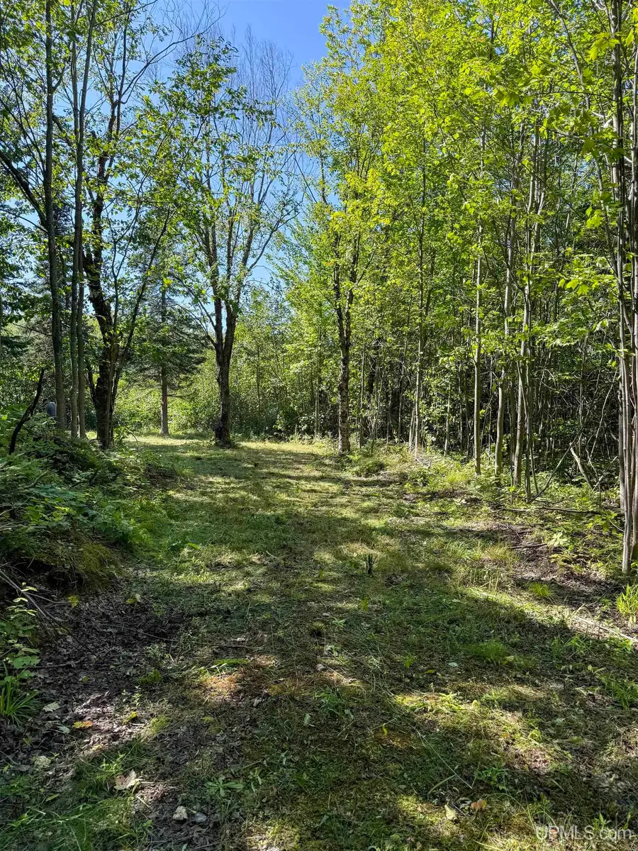 Lot 2 Off Hwy M-64, Ontonagon, MI 49953 - #3