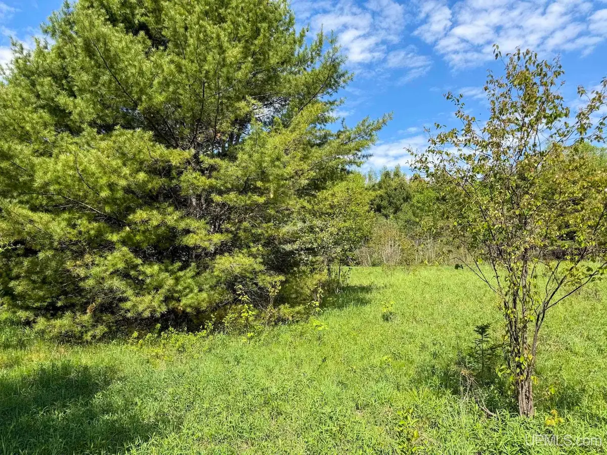 TBD Chipmunk, Lake Linden, MI 49945 - #1