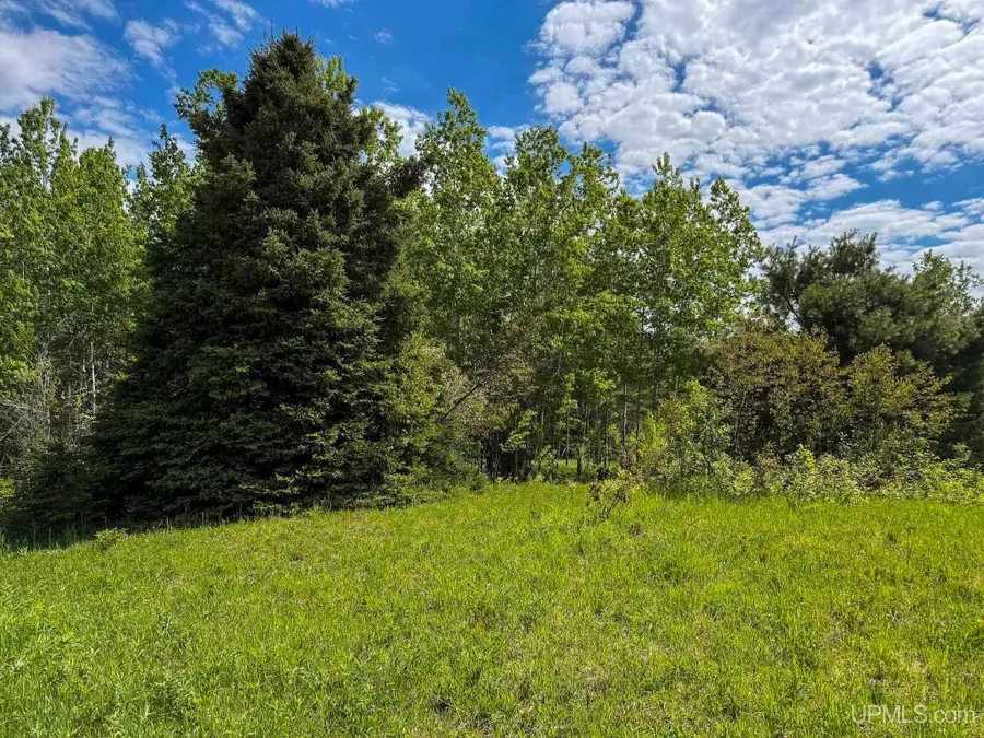 TBD Chipmunk, Lake Linden, MI 49945 - #3