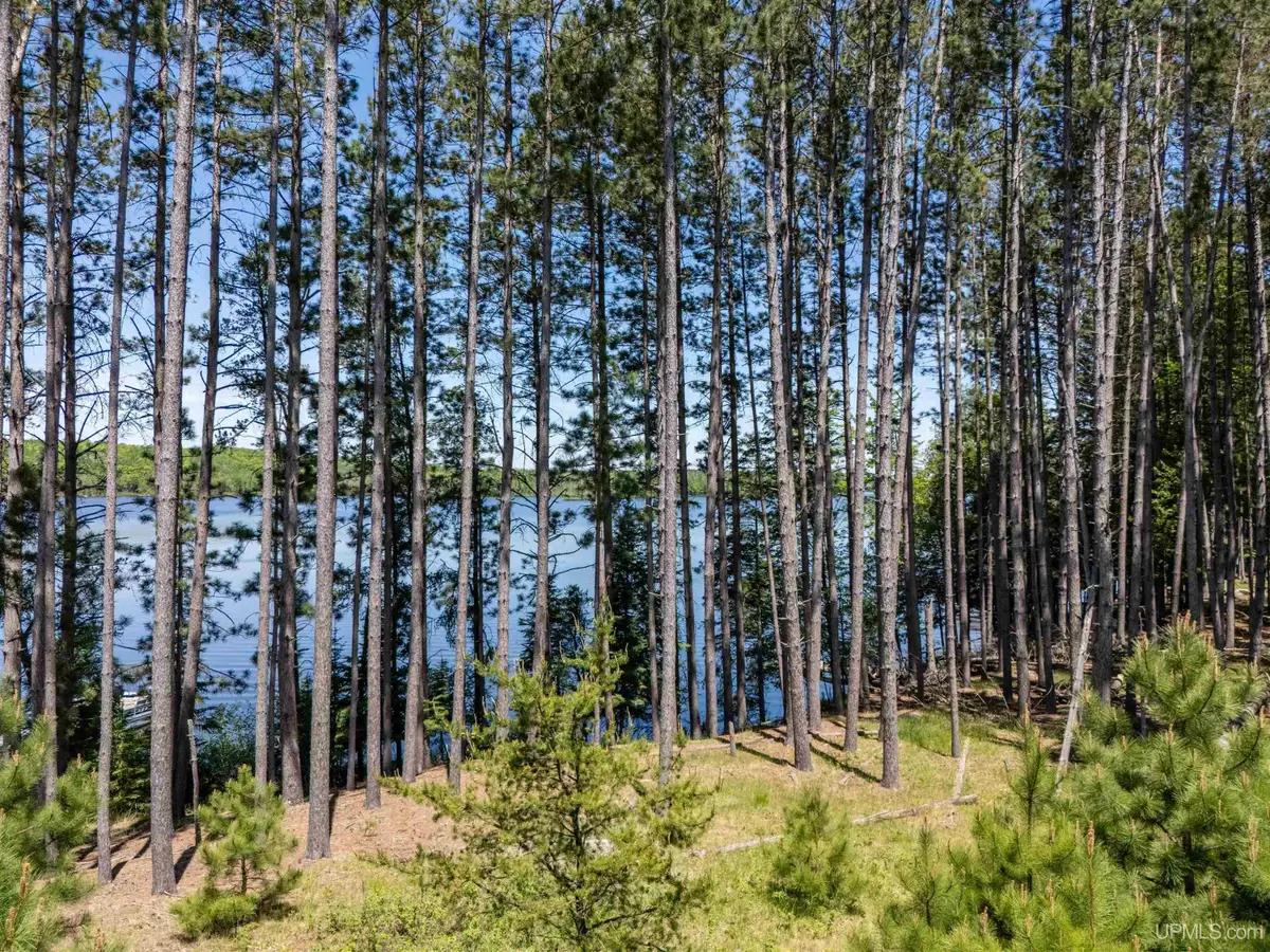 TBD Eagles Nest, Iron River, MI 49935 - #1