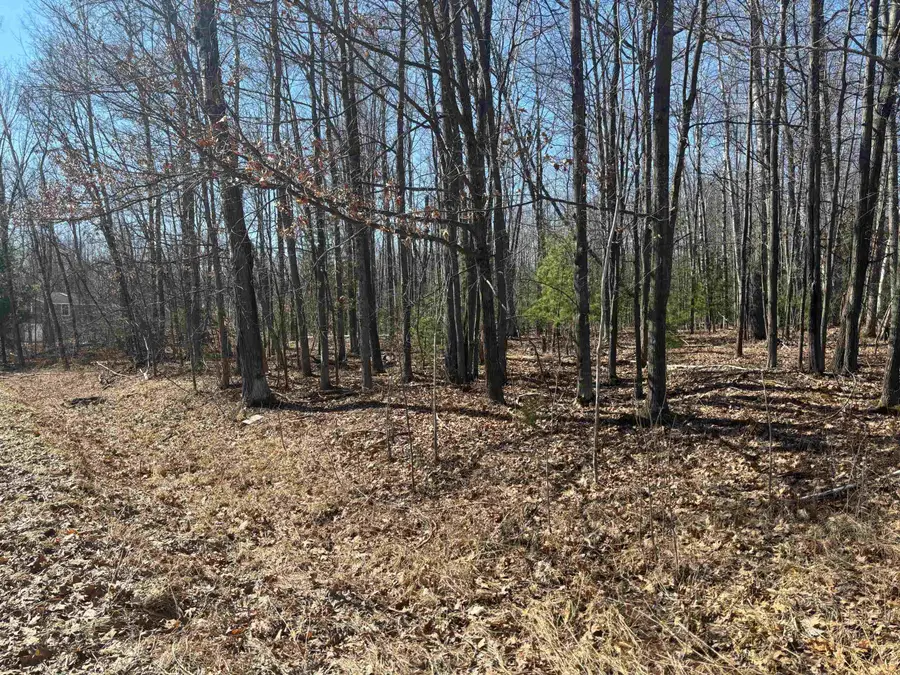 Pineway, Gladwin, MI 48624 - #2
