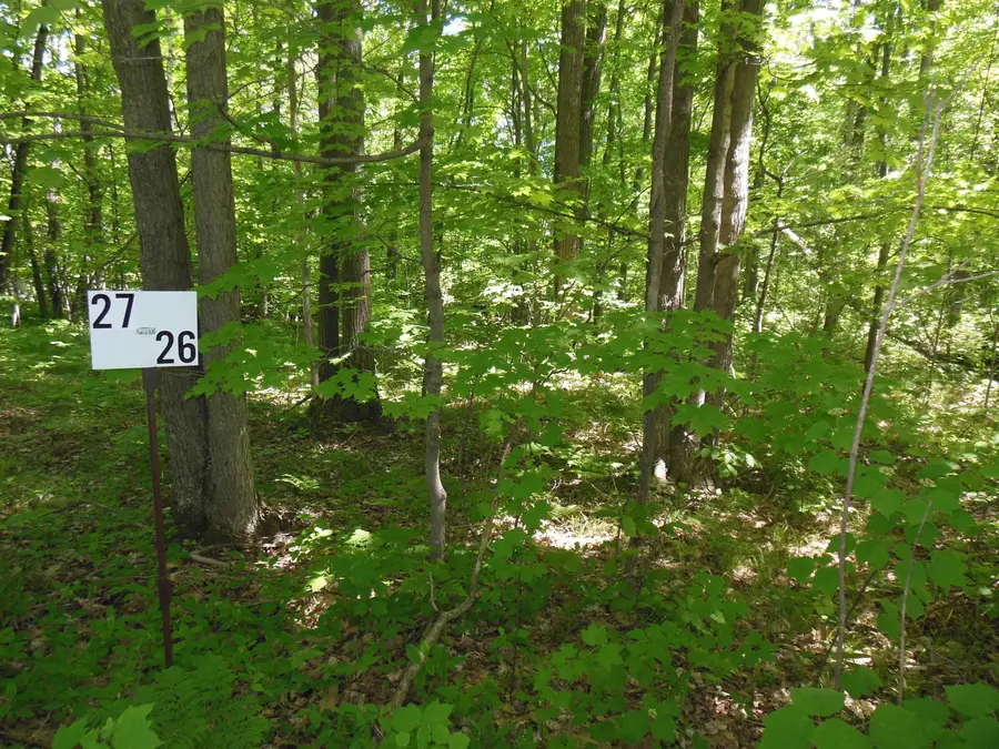 Lot 26 Rodgers, Harrison, MI 48625 - #2