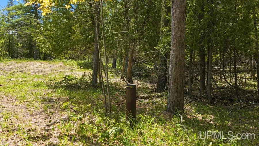 6789 W Us 2, Manistique, MI 49854 - #3