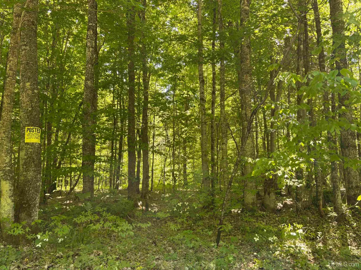 TBD Osborn Dr, Newberry, MI 49868 - #1