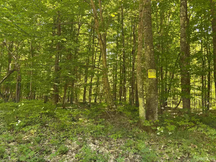 TBD Osborn Dr, Newberry, MI 49868 - #2