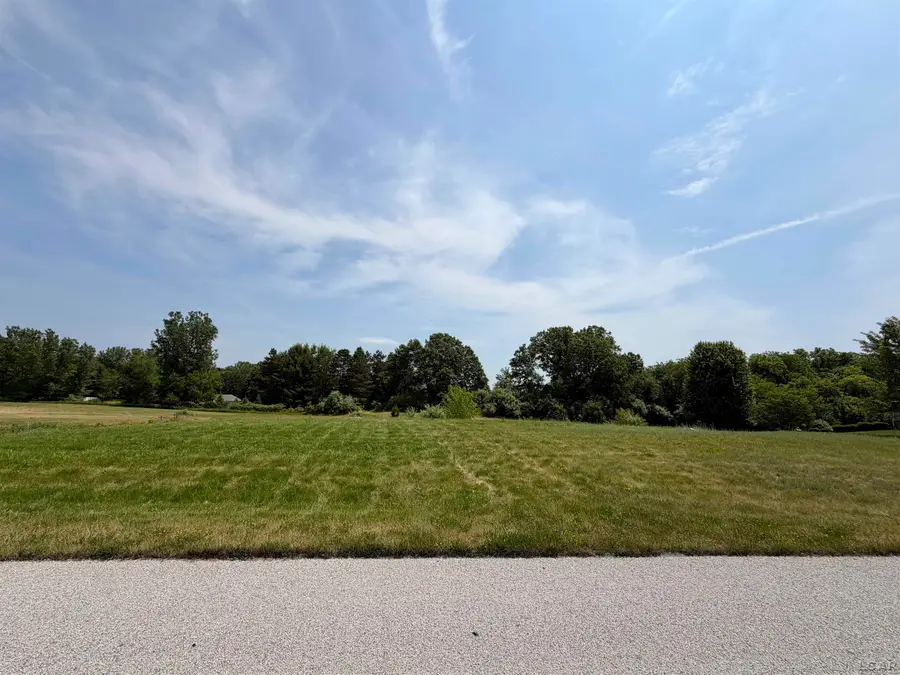Lot 47 Samantha, Britton, MI 49229 - #2