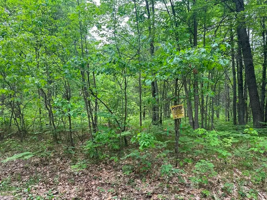 6 Acres Easement, Harrison, MI 48625 - #2