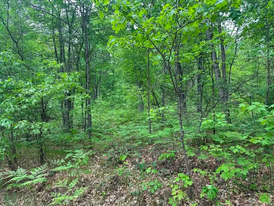 6 Acres Easement, Harrison, MI 48625 - #3