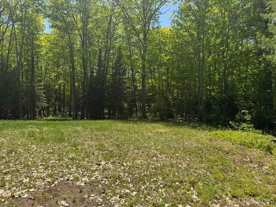 116 Hardwood, Negaunee, MI 49866 - #2