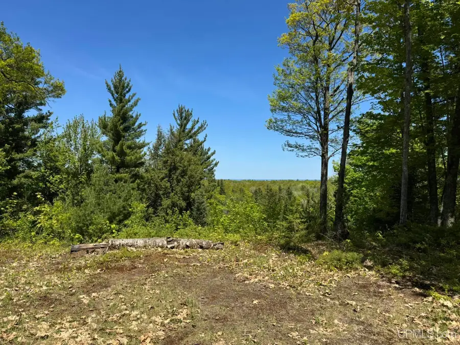 116 Hardwood, Negaunee, MI 49866 - #3