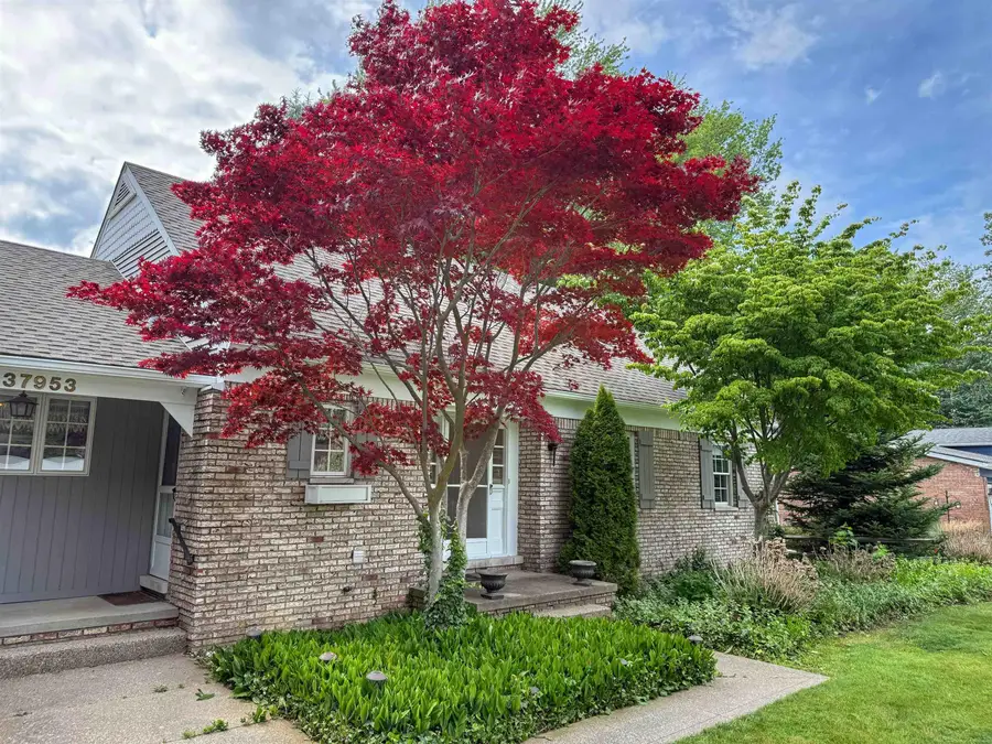 37953 Elmite, Harrison Township, MI 48045 - #2