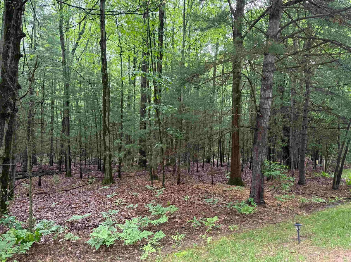 Lot 15A Sunset, Sanford, MI 48657 - #1