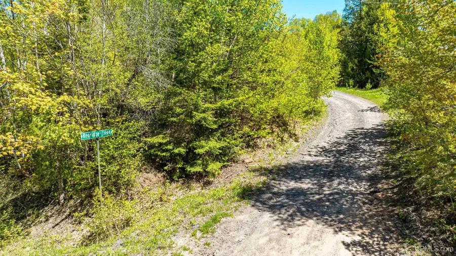 TBD Unit 1 First, Atlantic Mine, MI 49905 - #3