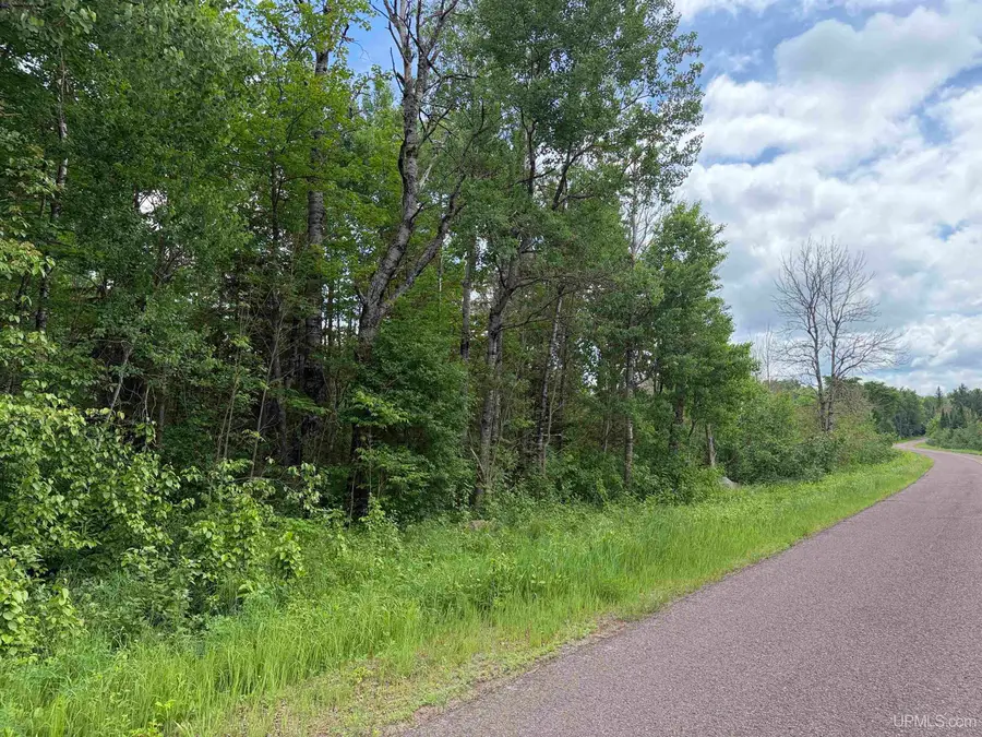 8090 S Davis, Ironwood, MI 49938 - #2