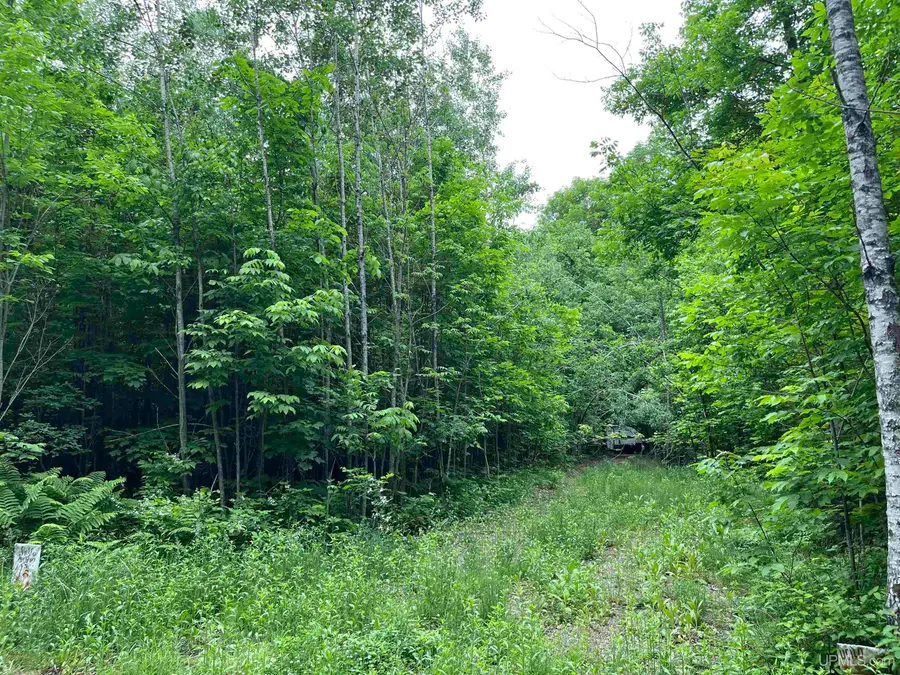 3435 Mulberry, Fern, WI 54121 - #2